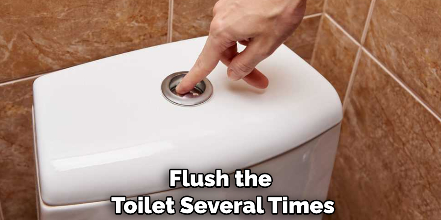 Flush the Toilet Several Times