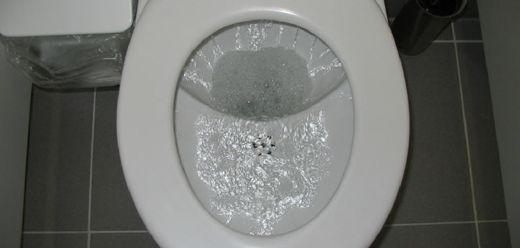 How to Flush Poop That is Too Big to Flush