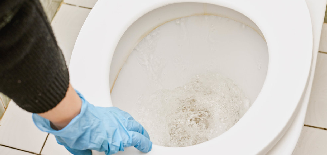 How to Remove Mold From Toilet Tank