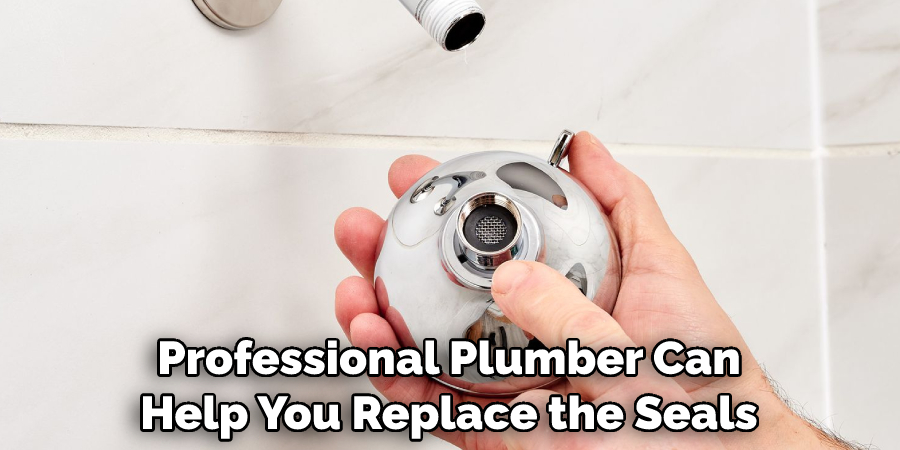 Professional Plumber Can Help You Replace the Seals