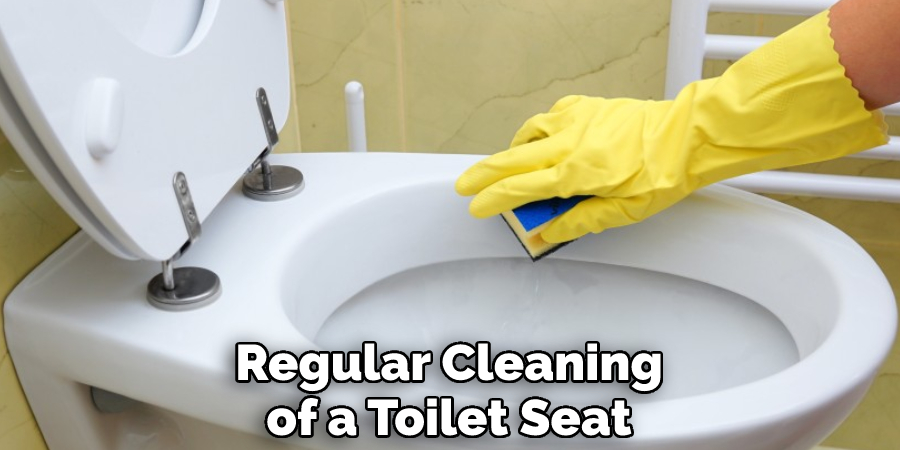 Regular Cleaning of a Toilet Seat