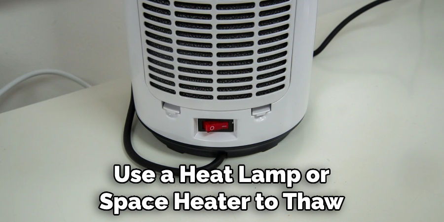 Use a Heat Lamp or Space Heater to Thaw