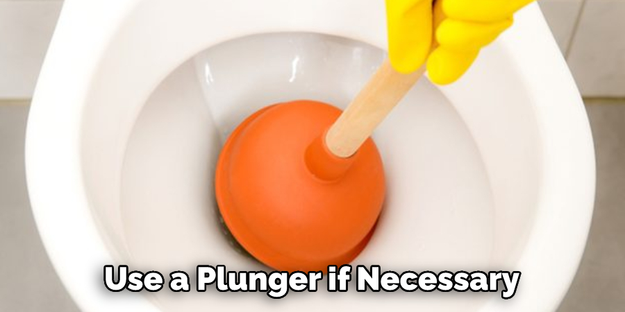 Use a Plunger if Necessary