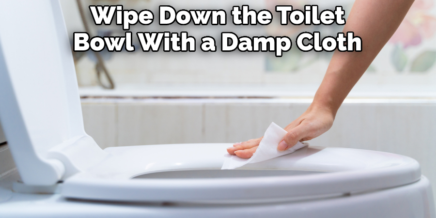 Wipe Down the Toilet Bowl With a Damp Cloth