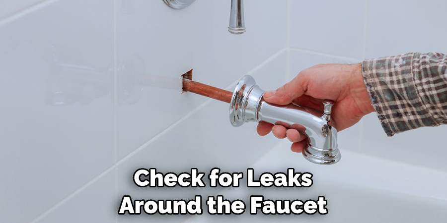 Check for Leaks Around the Faucet