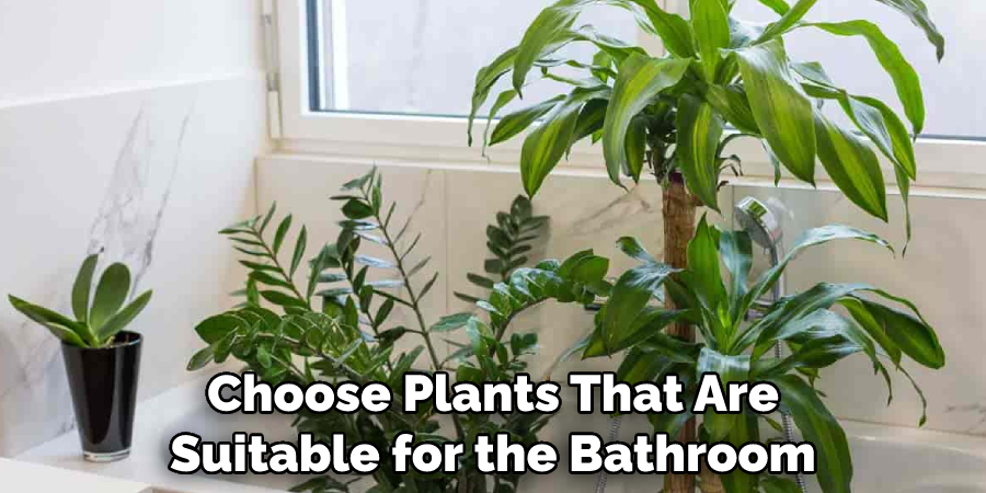 Choose Plants That Are Suitable for the Bathroom