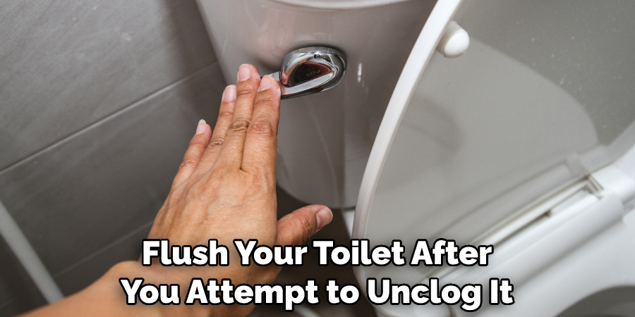 Flush Your Toilet After You Attempt to Unclog It