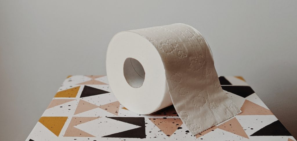 How to Unclog Paper Towels From Toilet