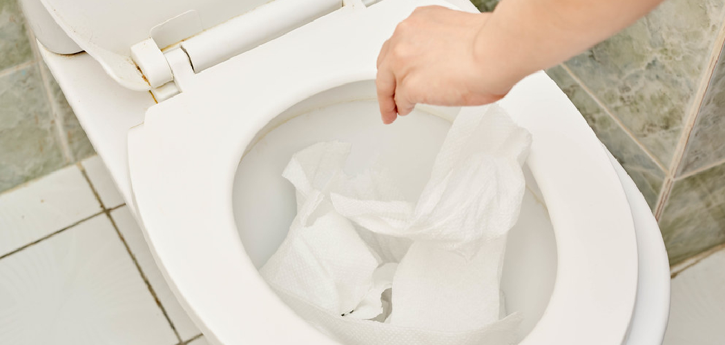 How to Unclog Toilet Clogged With Flushable Wipes