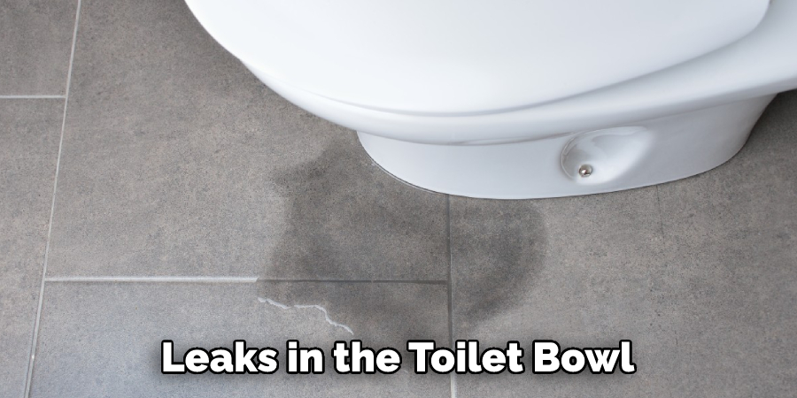 Leaks in the Toilet Bowl