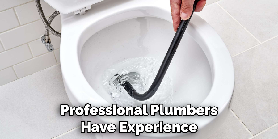 Professional Plumbers Have Experience