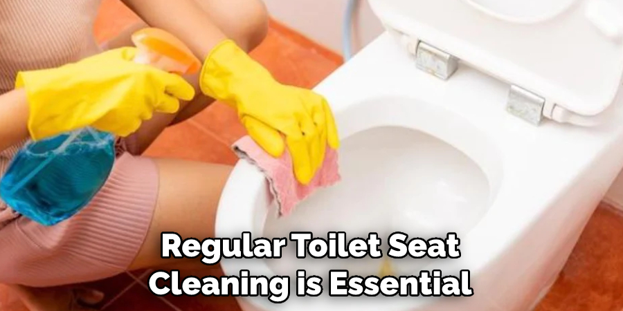 Regular Toilet Seat Cleaning is Essential