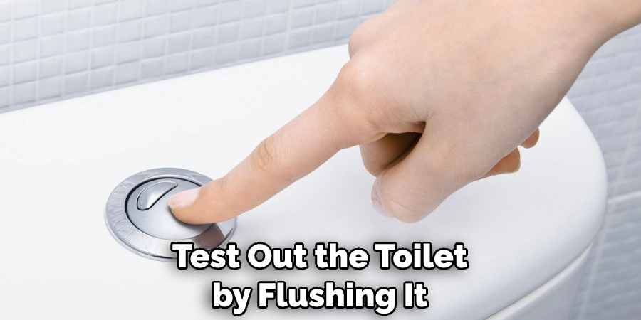 Test Out the Toilet by Flushing It