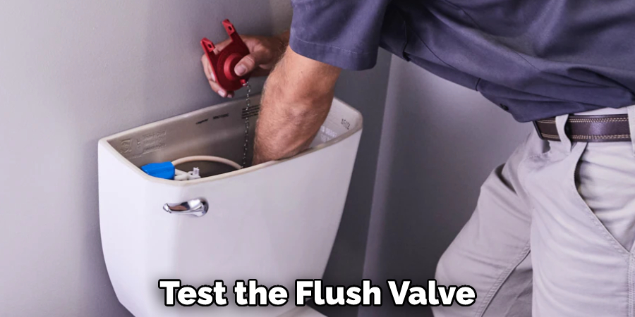 Test the Flush Valve