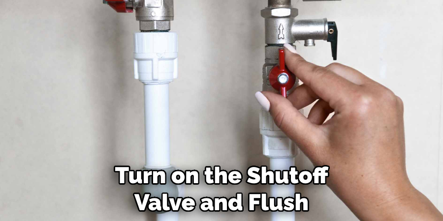 Turn on the Shutoff Valve and Flush