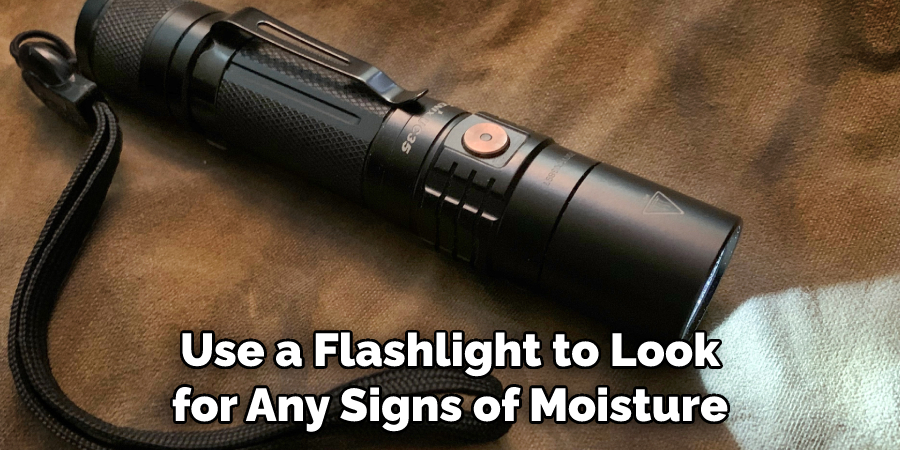 Use a Flashlight to Look for Any Signs of Moisture