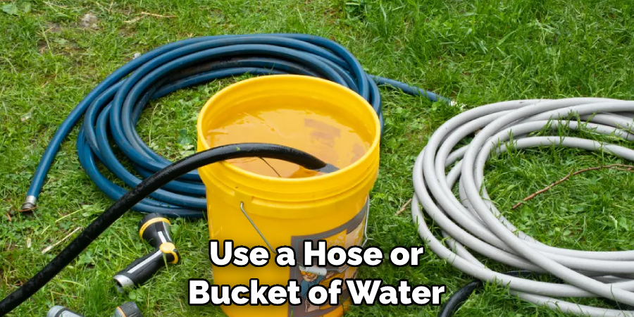 Use a Hose or Bucket of Water