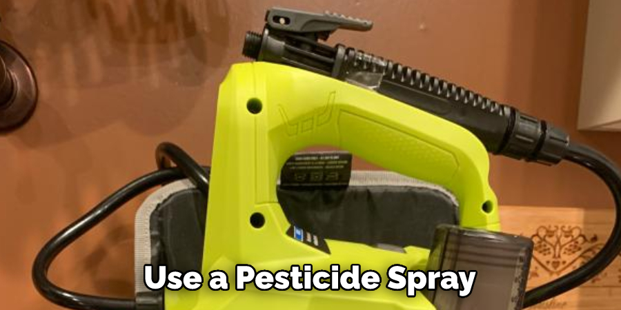 Use a Pesticide Spray