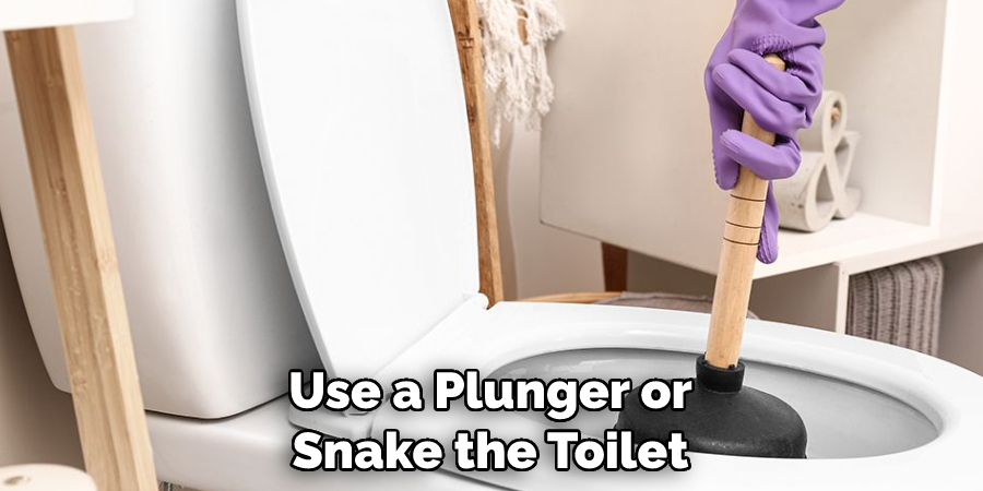 Use a Plunger or Snake the Toilet