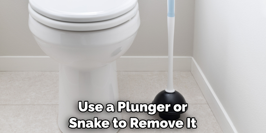 Use a Plunger or Snake to Remove It