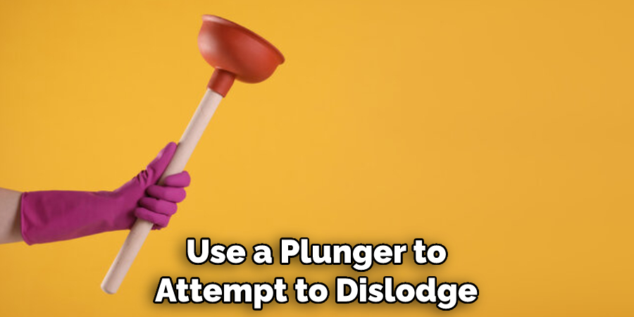 Use a Plunger to Attempt to Dislodge