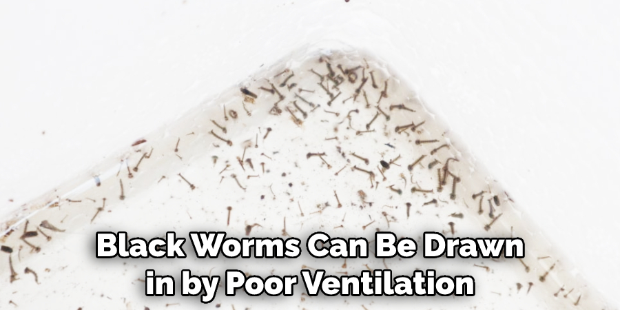 Black Worms Can Be Drawn in by Poor Ventilation