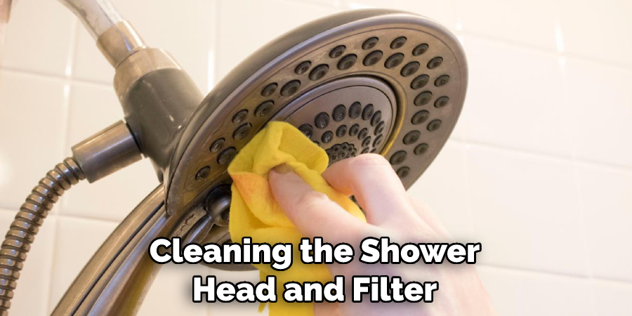 Cleaning the Shower Head and Filter