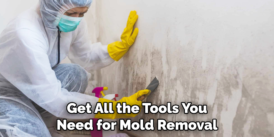 Get All the Tools You Need for Mold Removal