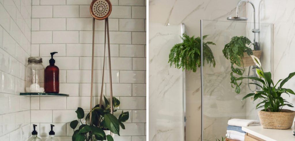 How to Hang Plants in Shower