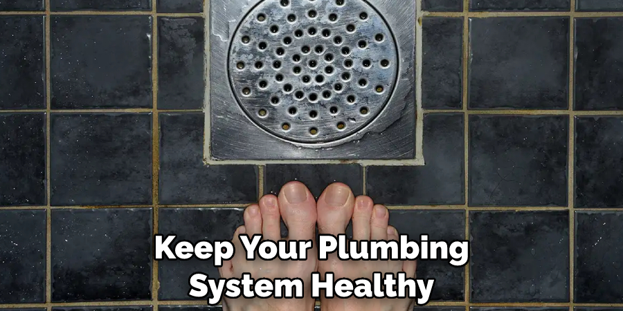 Keep Your Plumbing System Healthy