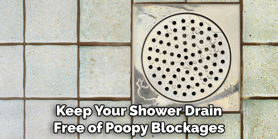 Keep Your Shower Drain Free of Poopy Blockages