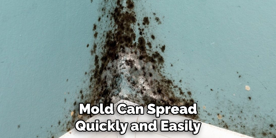 Mold Can Spread Quickly and Easily