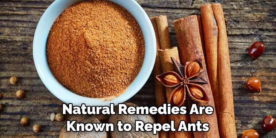 Natural Remedies Are Known to Repel Ants