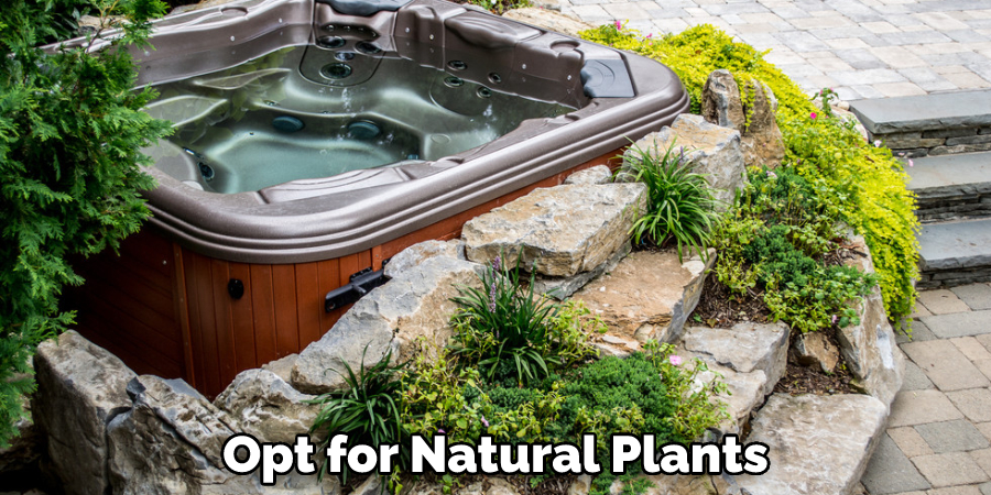 Opt for Natural Plants