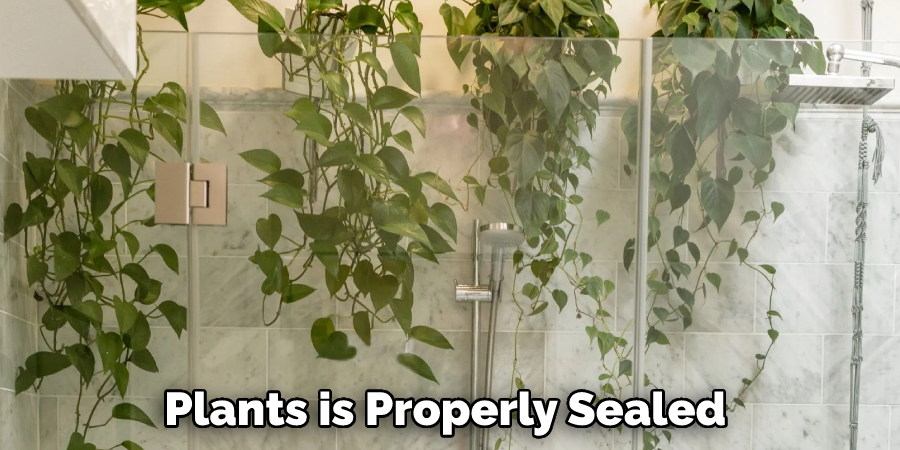 Plants is Properly Sealed