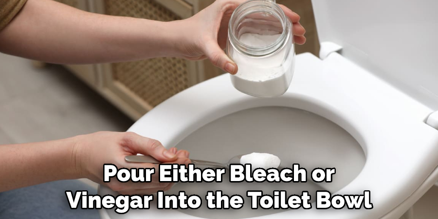 Pour Either Bleach or Vinegar Into the Toilet Bowl