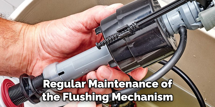 Regular Maintenance of the Flushing Mechanism