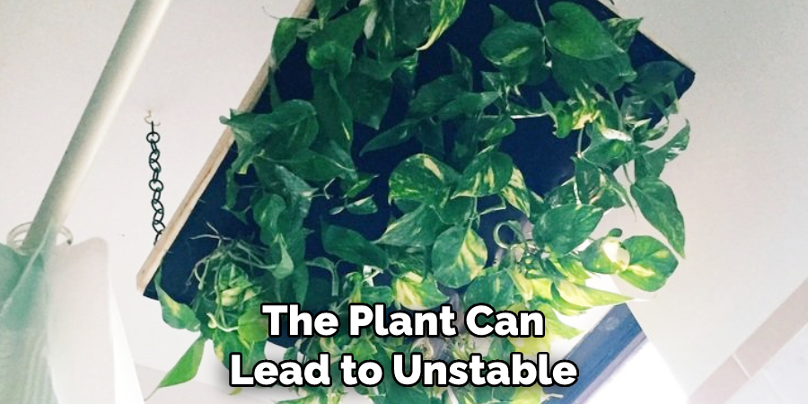 The Plant Can Lead to Unstable