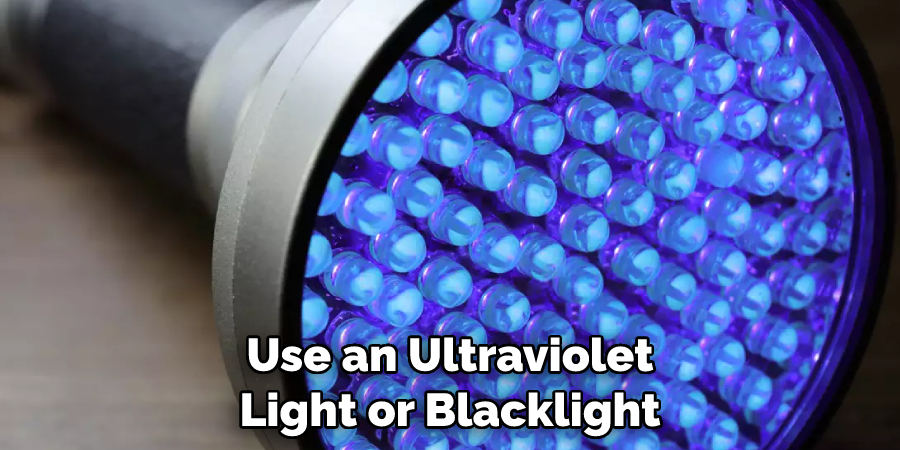 Use an Ultraviolet Light or Blacklight