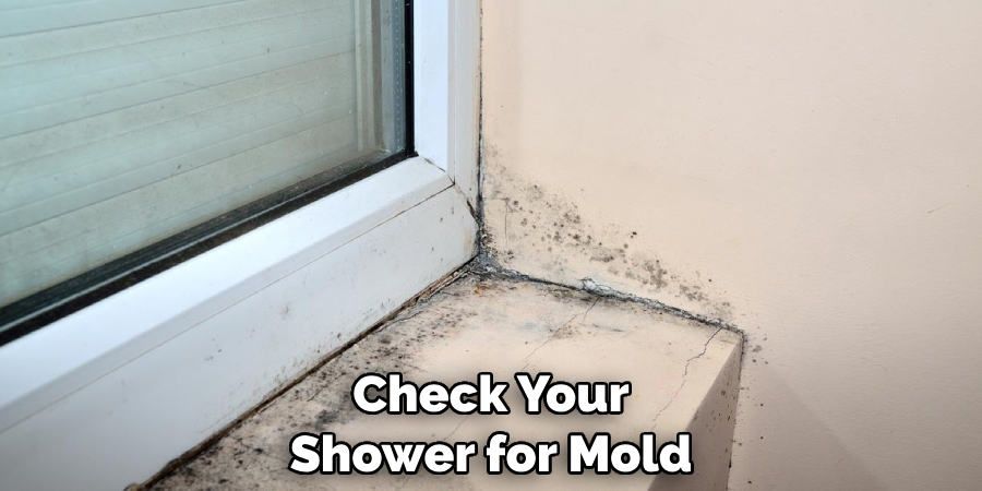 Check Your Shower for Mold