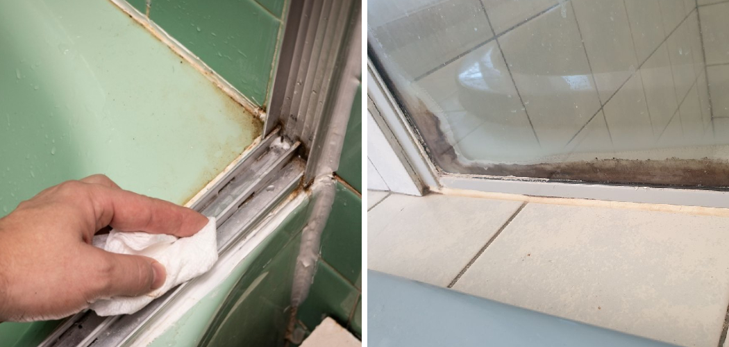 How to Get Rid of Mold Between Shower Glass