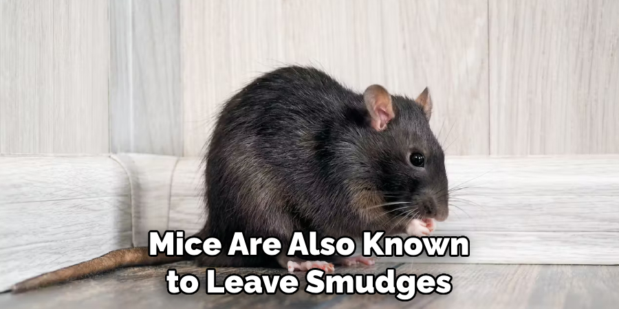 Mice Are Also Known to Leave Smudges