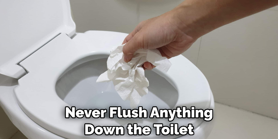 Never Flush Anything Down the Toilet