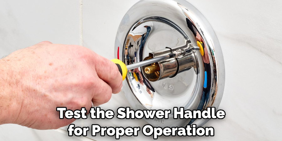 Test the Shower Handle for Proper Operation