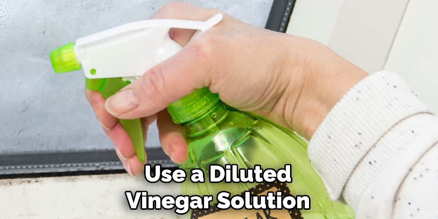 Use a Diluted Vinegar Solution