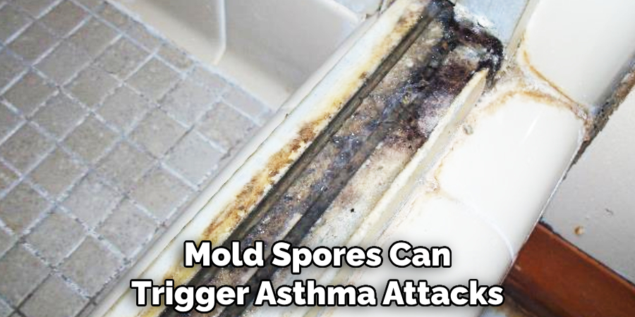 Mold Spores Can Trigger Asthma Attacks