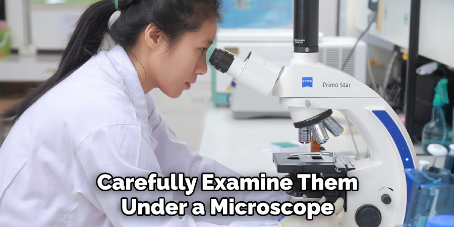 Carefully Examine Them Under a Microscope