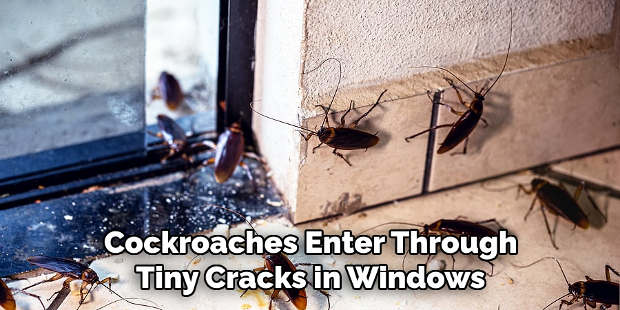 Cockroaches Enter Through Tiny Cracks in Windows