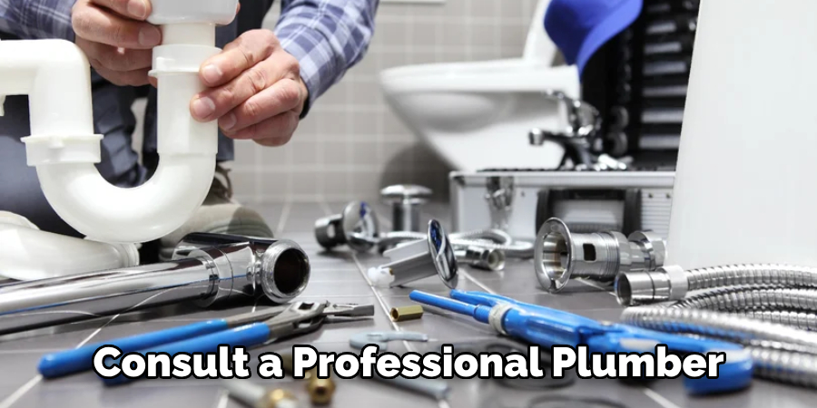 Consult a Professional Plumber