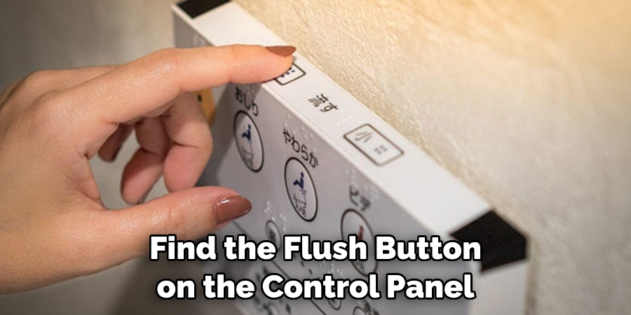 Find the Flush Button on the Control Panel